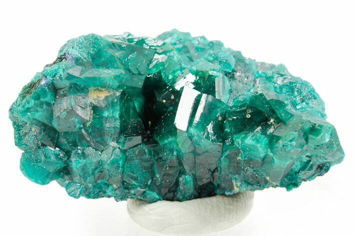 Emerald-Green Dioptase Crystal Cluster - Congo #366011